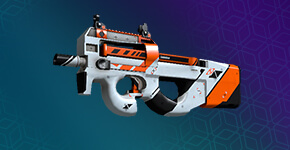 P90 Skins P90 Skins