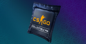 CS2 Koleksiyonları