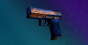 P2000 Skinleri P2000 Skinleri