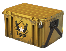 Winter Offensive Weapon Case Winter Offensive Weapon Case