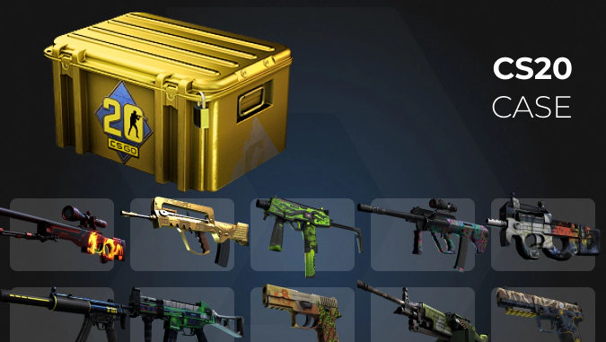 CS20 Case