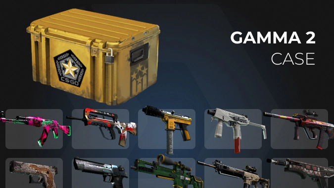 Gamma 2 Case