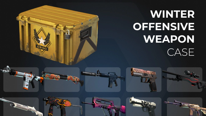 Winter Offensive Weapon Case