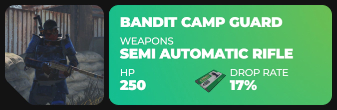 Bandit Camp Guards
