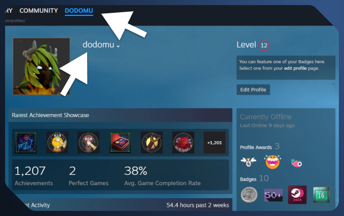 the starting screen, with the Steam profile name highlighted