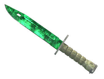 Bayonet image