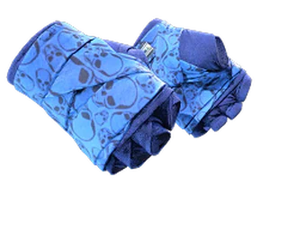 Hand Wraps image