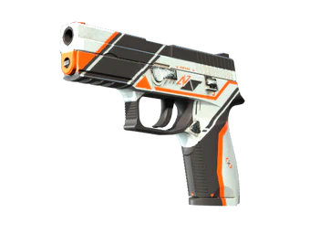 P250 image