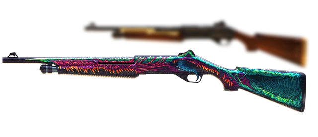 Nova