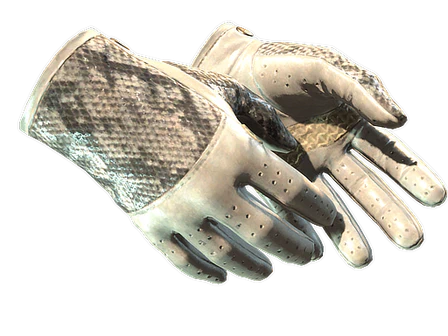 ★ Driver Gloves | King Snake image