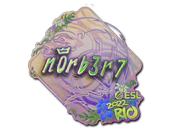 Sticker | n0rb3r7 (Holo) | Rio 2022 image
