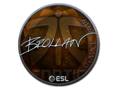 Sticker | Brollan (Foil) | Katowice 2019 image