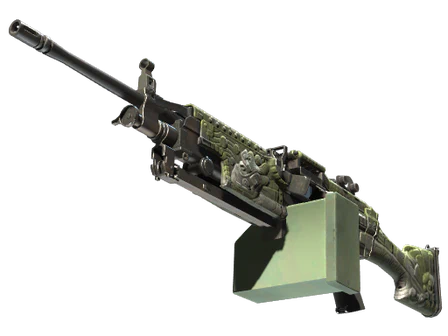 M249 | Aztec image
