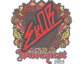 Sticker | sk0R | Budapest 2025 image