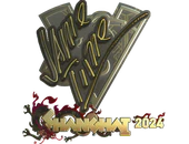Sticker | Jame (Gold) | Shanghai 2024 image