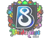 Sticker | B8 (Holo) | Budapest 2025 image