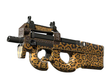 P90 | Run and Hide image