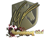 Sticker | NAF (Gold) | Shanghai 2024 image