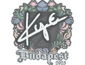 Sticker | kye | Budapest 2025 image