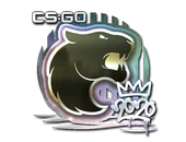 Sticker | FURIA (Foil) | 2020 RMR image