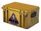 Shattered Web Case image