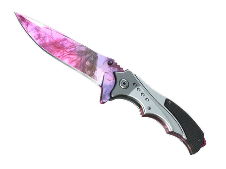 ★ Nomad Knife | Doppler Phase 2 image