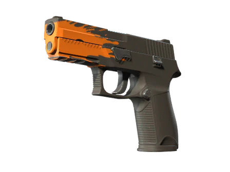 P250 | Splash image