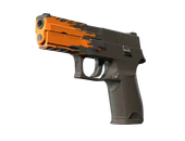 P250 | Splash image
