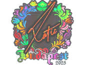 Sticker | XotiC (Holo) | Budapest 2025 image