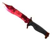 ★ Bowie Knife | Doppler Ruby image