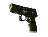 P250 | Iron Clad image