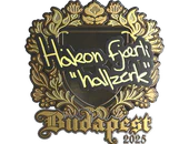 Sticker | hallzerk (Gold) | Budapest 2025 image
