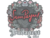 Sticker | SunPayus | Budapest 2025 image