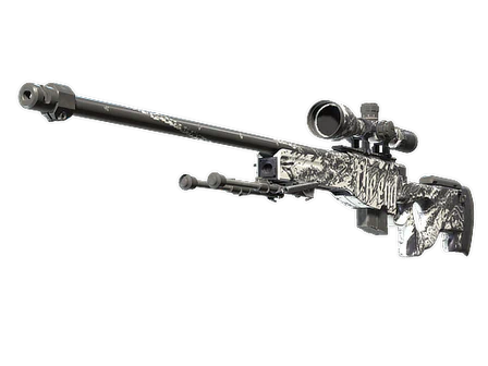 AWP | The End image