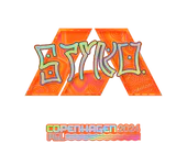 Sticker | STYKO (Holo) | Copenhagen 2024 image