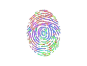 Sticker | Evidence (Holo) image