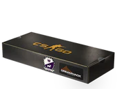 DreamHack 2014 Cobblestone Souvenir Package image