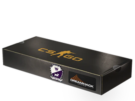 DreamHack 2014 Cobblestone Souvenir Package image