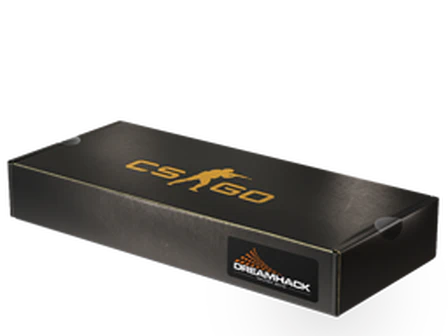 DreamHack 2013 Souvenir Package image