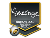 Sticker | Kjaerbye | Cluj-Napoca 2015 image