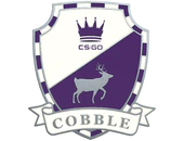Cobblestone Pin image