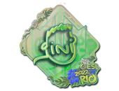 Sticker | VINI (Holo) | Rio 2022 image