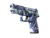 P250 | Digital Architect image