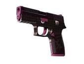 P250 | Vino Primo image