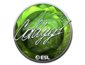 Sticker | COLDYY1 (Foil) | Katowice 2019 image
