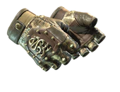 ★ Hydra Gloves | Rattler image