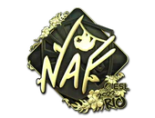 Sticker | NAF (Gold) | Rio 2022 image