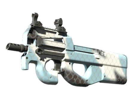 P90 | Glacier Mesh image
