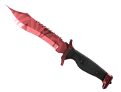 ★ Bowie Knife | Slaughter image