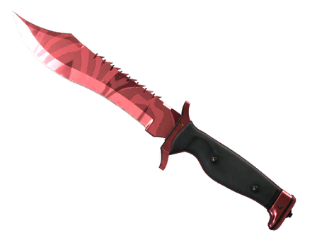 ★ Bowie Knife | Slaughter image